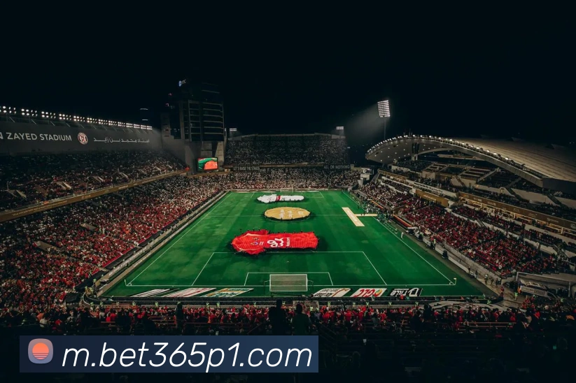 bet365中国官网平台生态图